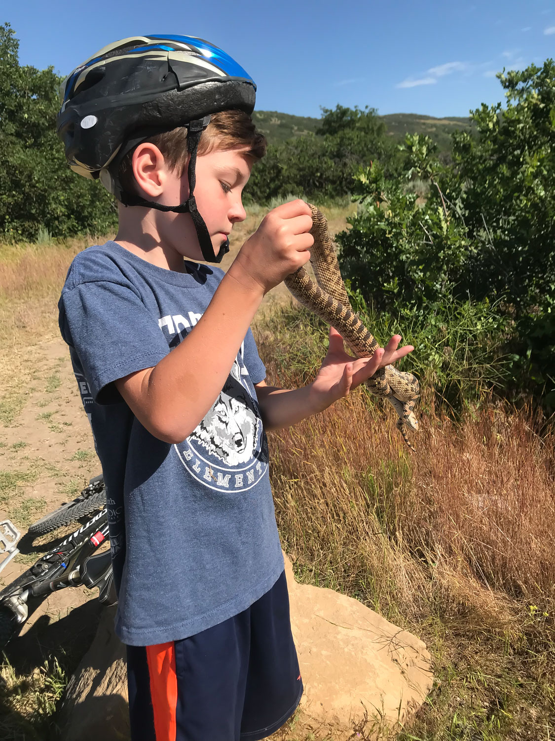 2019, mountain biking and herping can go together